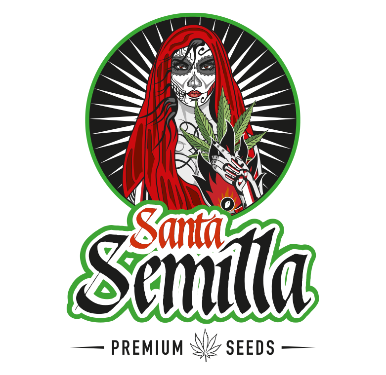 Santa Semilla